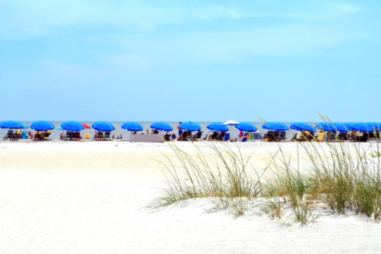 Line of blue umbreallas on horizon line at a Hilton Head Island beach